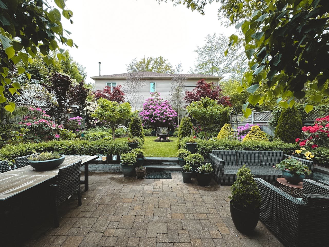 Imagem ilustrativa: Plantas para Jardim